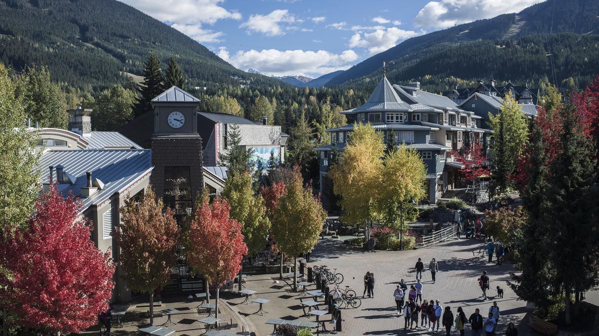 Classic Whistler Tour + Shannon Falls