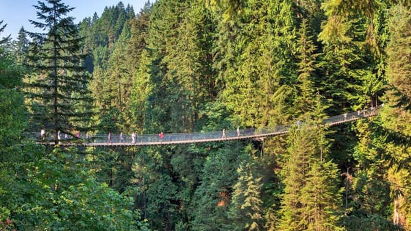 Capilano Suspension Bridge Park Admission Ticket