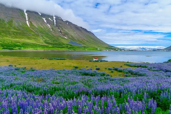 Viking Oceans Cruises - Iceland’s Majestic Landscapes (Norway, Faroe Islands, Iceland) 13 Days
