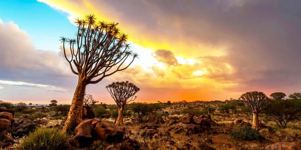 Splendid Deserts of Namibia 15 Days