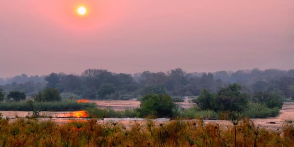 Untamed Caprivi 14 Days