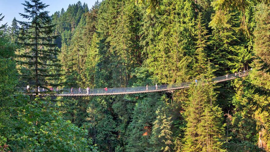 Capilano Suspension Bridge Park Admission Ticket