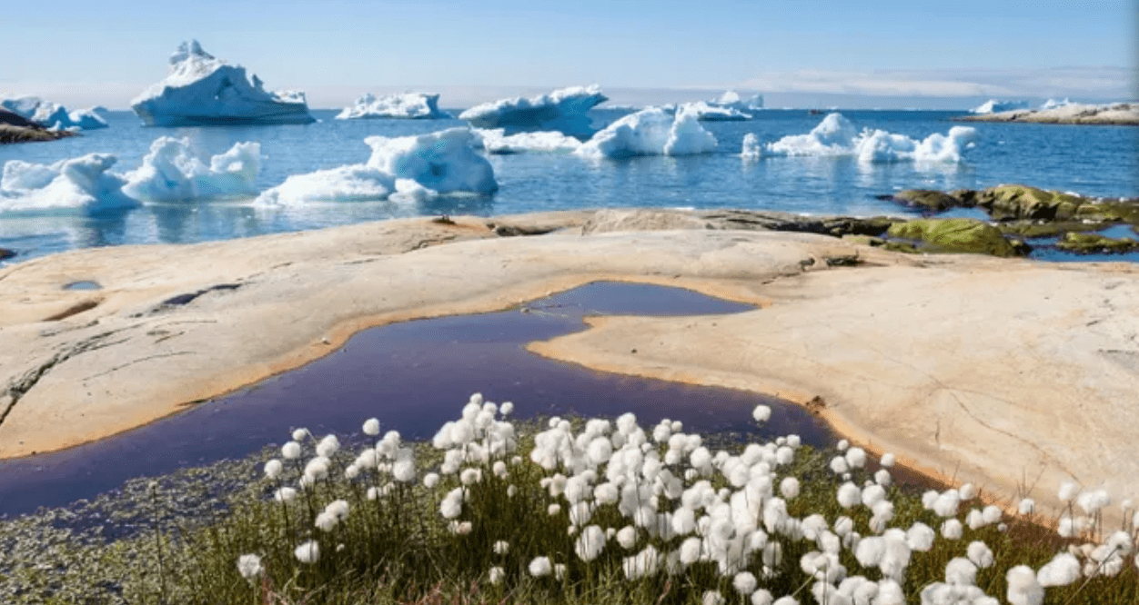 Viking Expeditions Cruises - NEW! Into the Northwest Passage (Greenland, Canada) 13 Days