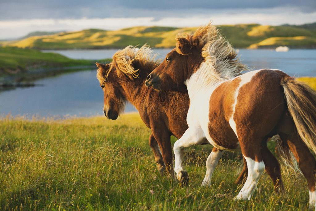 Viking Oceans Cruises - British Isles Explorer (England, Ireland, Norway, Scotland, United Kingdom, Wales) 15 Days