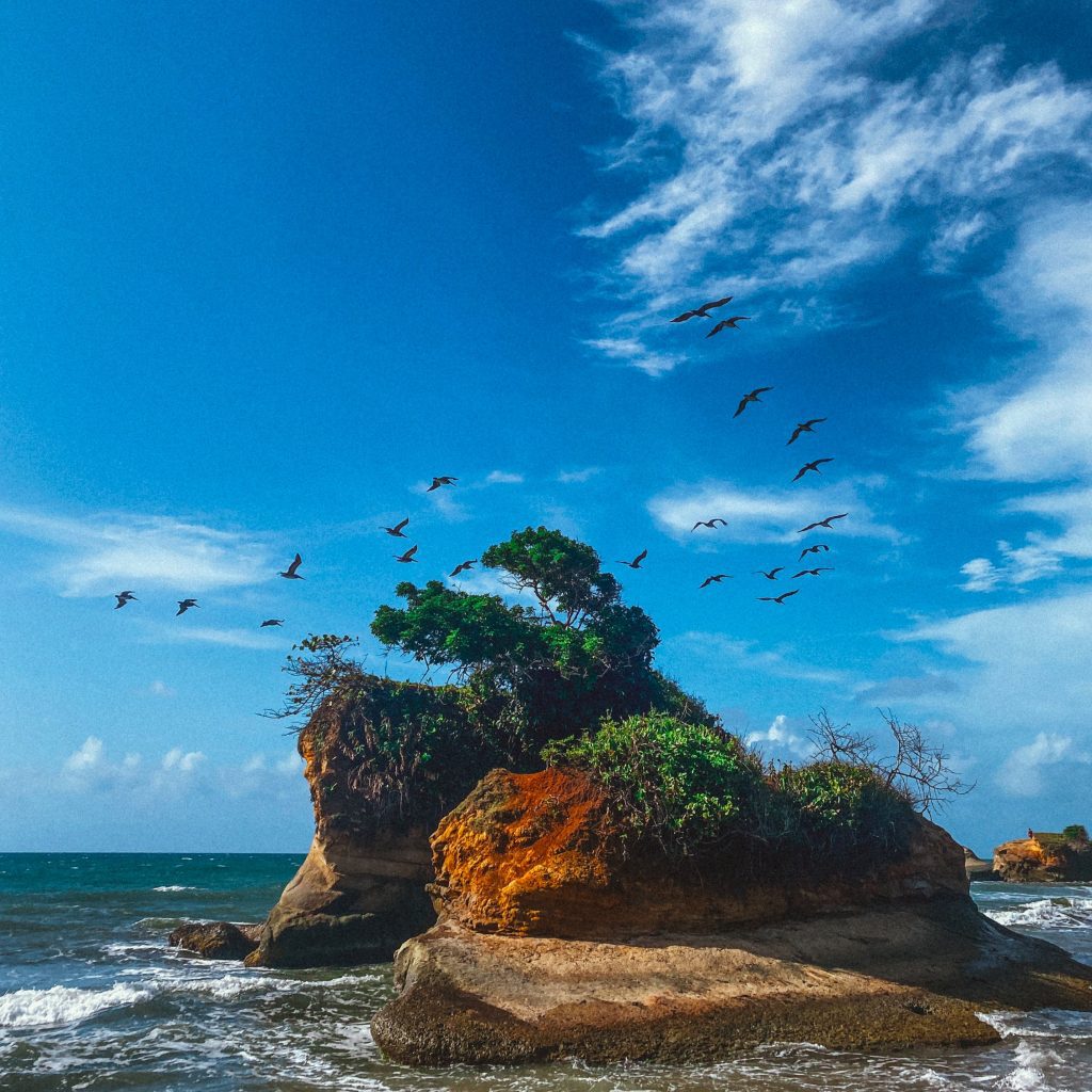 Viking Expeditions Cruises - Panama & Scenic South America (Argentina, Chile, Ecuador, Mexico, Panama, Peru, United States) 18 Days