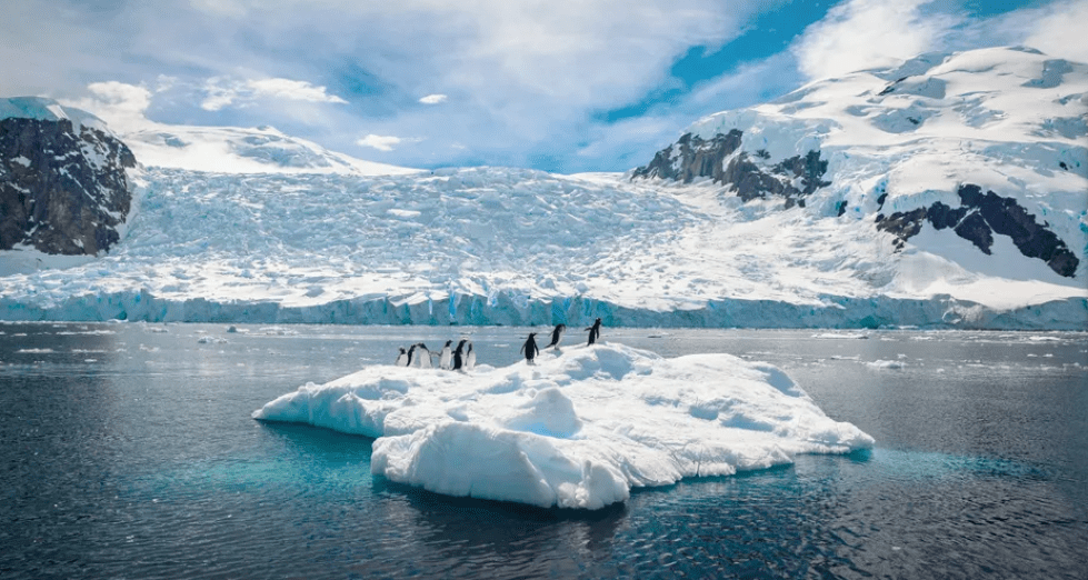Viking Expeditions Cruises - NEW! Into the Antarctic Circle (Argentina, Antarctica) 15 Days